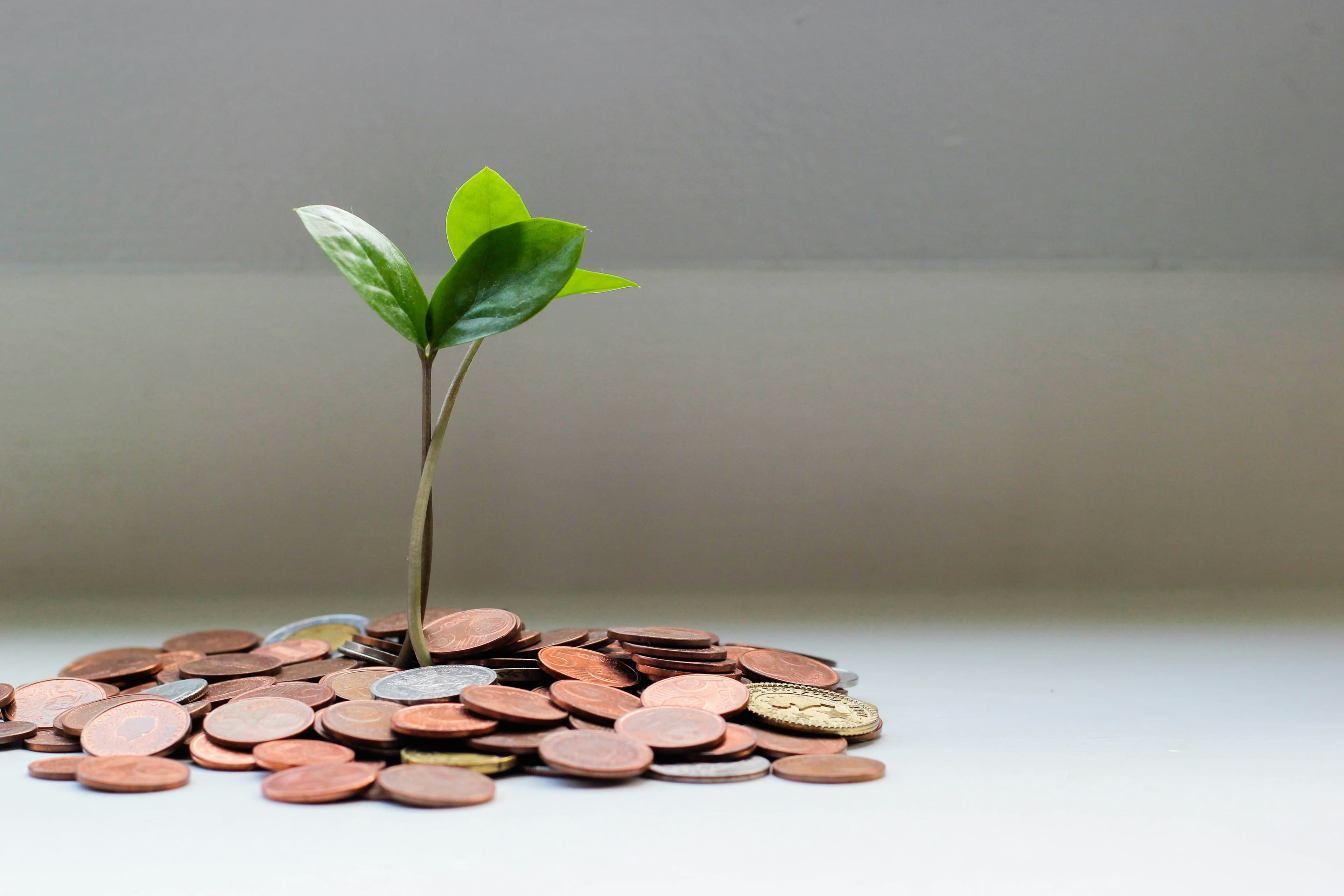Professional Finance Background